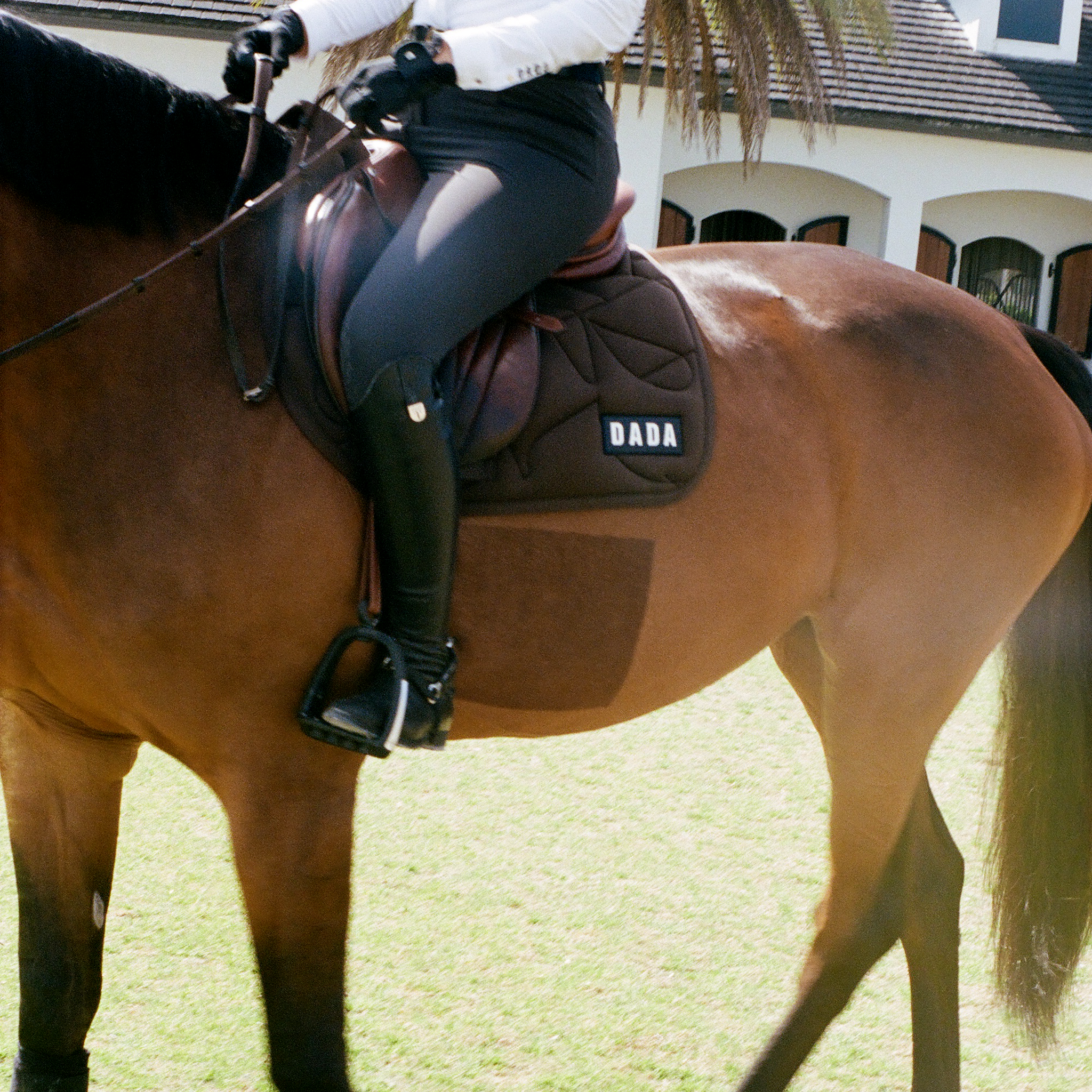 Dada Sport Fit for Fun Saddle Pad for Horse, Lifestyle View