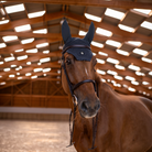 Samshield Flyshield Swarovski Fly Veil - Espayo Equestrian