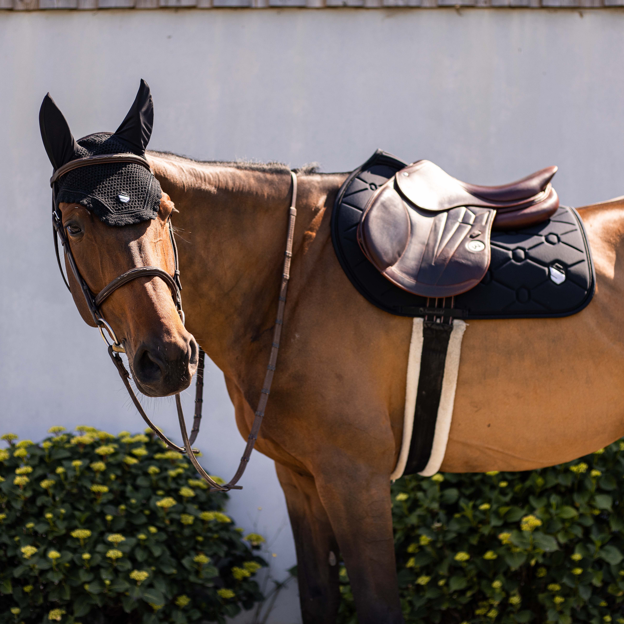 Samshield Flyshield Embroidery Fly Veil - Espayo Equestrian