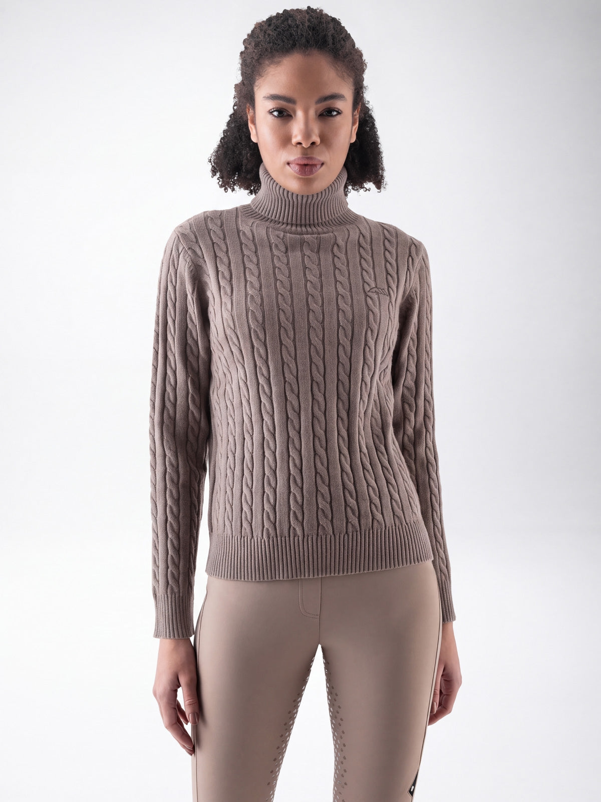 Equiline Ladies Eqlover High Neck Jumper in Greige, back view of the soft-touch high neck jumper with beige embroidered Equiline logo.